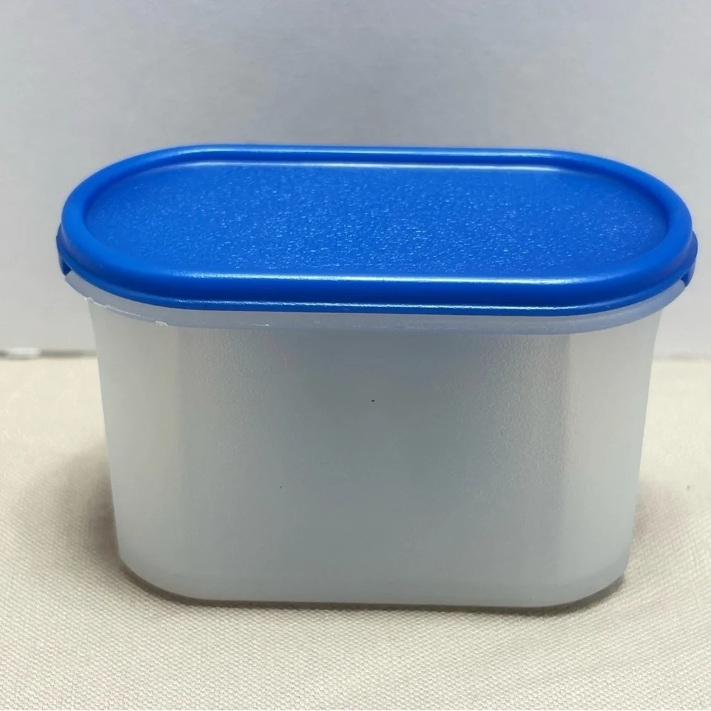 Tupperware Mini Modular Mates with Blue Lid Magnet So vintage and Collectible